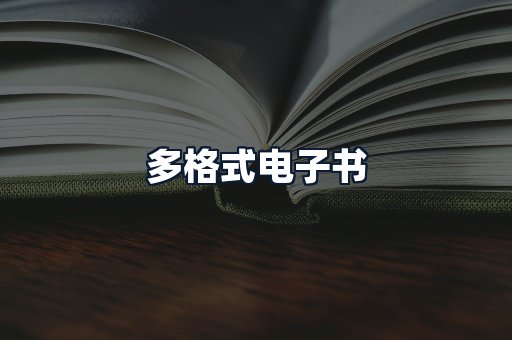多格式电子书